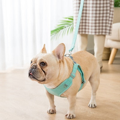 Soft Suede French Bulldog Harness And Leash
