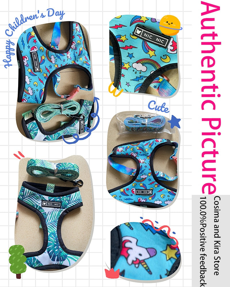 Tropical French Bulldog Leash and Harness