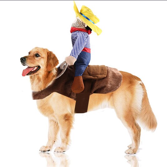 Dog and Cat Costumes