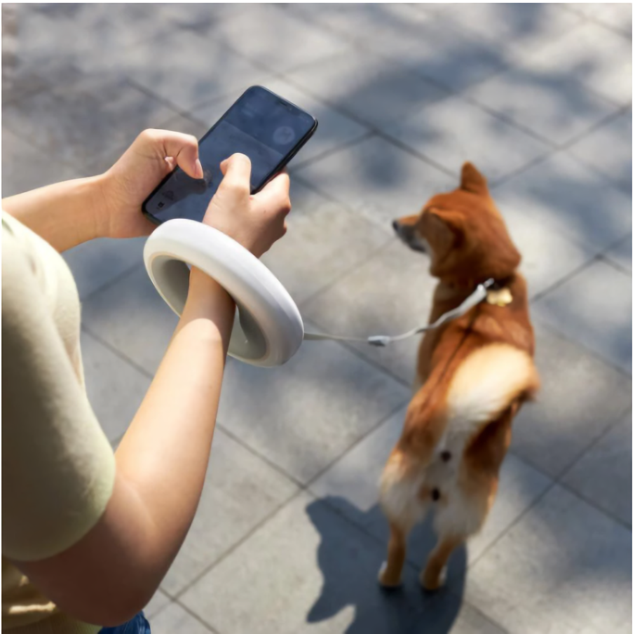 Smart Retractable Pet Leash - 3M