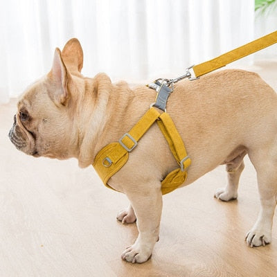 Soft Suede French Bulldog Harness And Leash