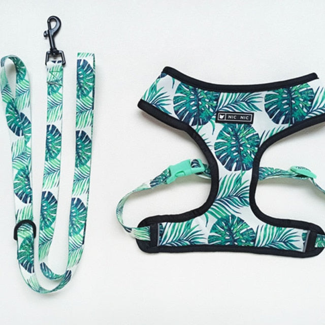 Tropical French Bulldog Leash and Harness