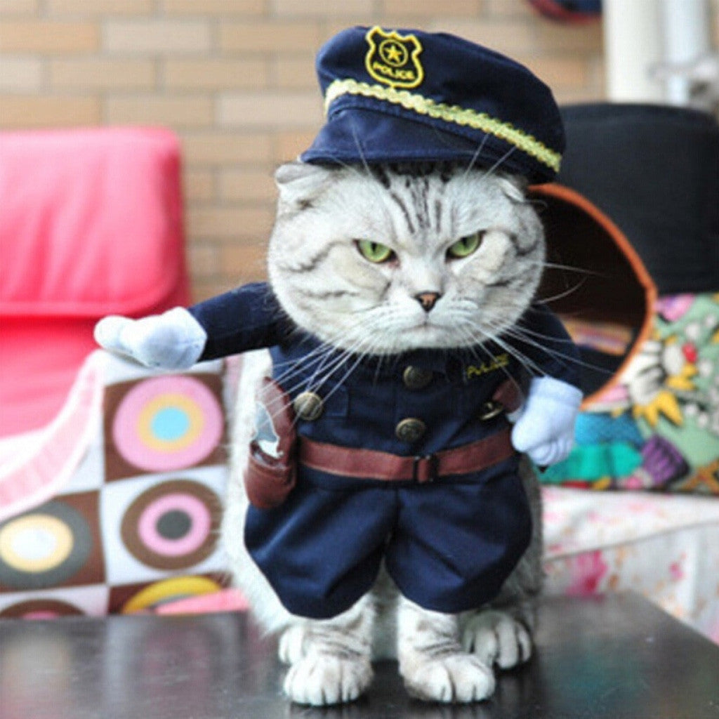 Dog and Cat Costumes