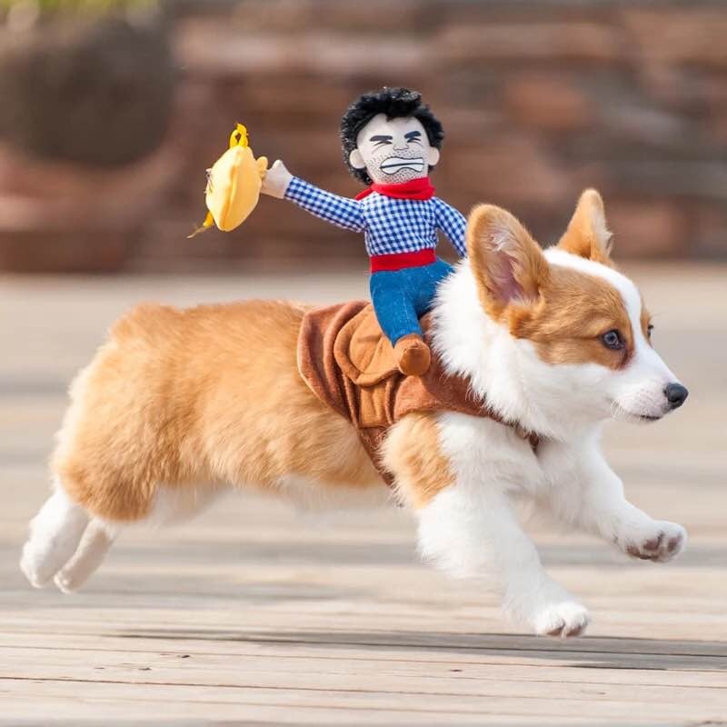 Dog and Cat Costumes
