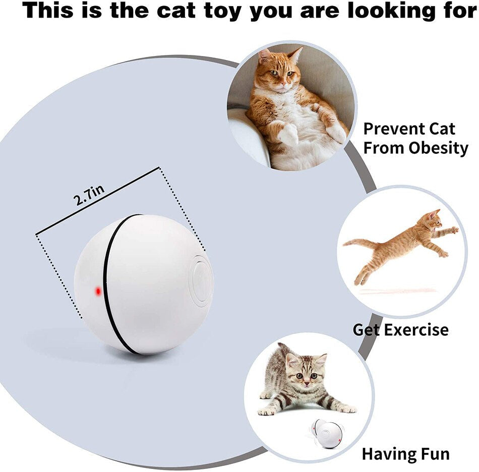 Smart Interactive Pet Ball