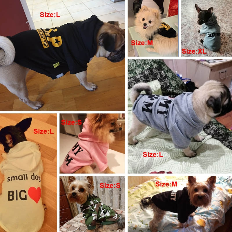Viva Voce Dog Hoodie