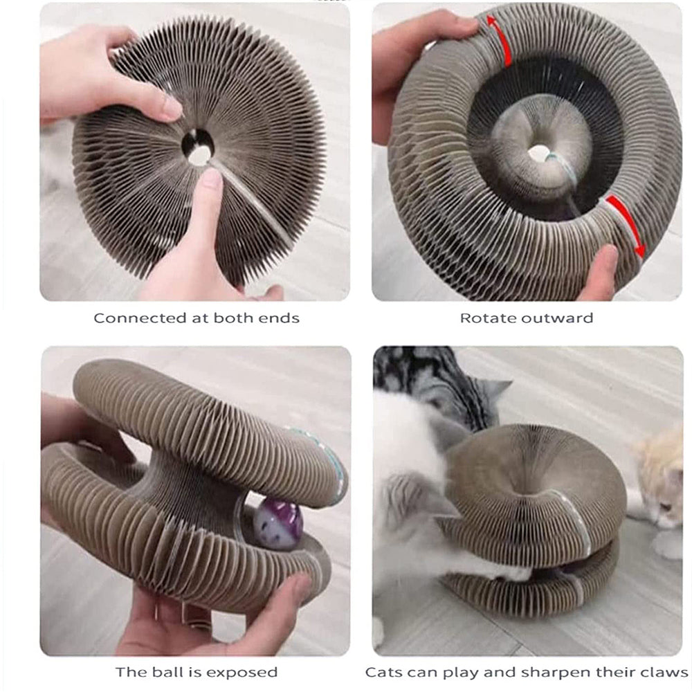 Labrynth Cat Scratcher